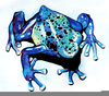 Poison Frogs Drawings Image