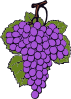 Grape Cluster 2 Clip Art