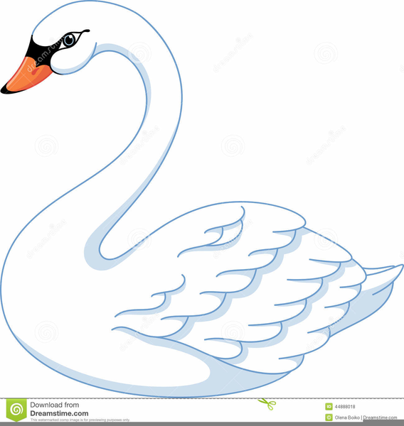 two swan clipart