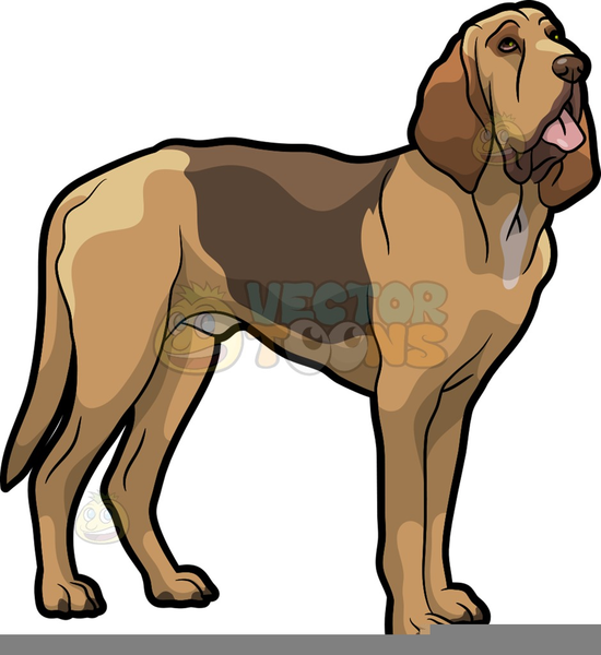 Cartoon Bloodhound Clipart | Free Images at Clker.com - vector clip art