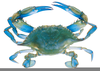 Blue Claw Crab Clipart Image