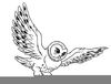 Barn Owl Clipart Image