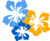 Hibiscus Trio Blue Clip Art