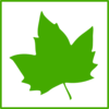 Green Leaf Icon Clip Art