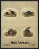 Wild Animals Image