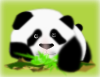 Panda 3 Clip Art