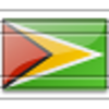 Flag Guyana 5 Image