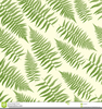 Free Tropical Background Clipart Image