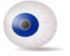 Eyeball Blue Realistic Clip Art