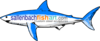 Shark Logo Clip Art