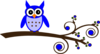 Blue Owl On Branch Clip Art
