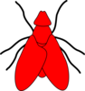 Fly Line Drawing - Red Clip Art