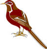 Bird Red Clip Art