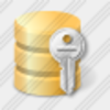 Icon Database Key Image