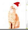 Cat In Santa Hat Clipart Image