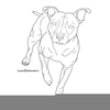 Pitbull Puppy Drawing Image