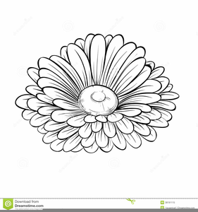 Clipart Lines Flowers Image