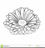 Clipart Lines Flowers Image