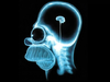 Homer Simpson Wallpaper Brain Image