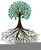 Clipart Tree Branches Roots Image