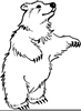 Clipart Polar Bear Image