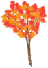 Autumn Tree Clip Art