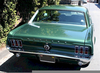 Mustang Green Image