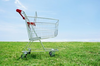 Eco Shopping Cart On Lawn Image