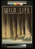 Wild Life The National Parks Preserve All Life. Image
