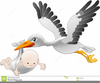 Free Clipart Stork Carrying Baby Image