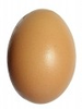 Egg On White Background Thumb Image