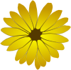 Flower Dandelion Clip Art