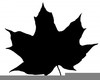 Free Clipart Of Leaf Image