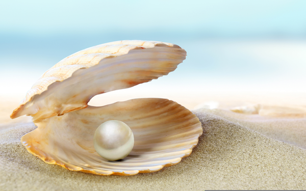 oyster pearl wallpapers
