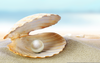 Oyster Pearl Wallpapers Image