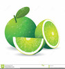 Limes Fruits Pictures Clipart Image