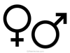 Gender Icon Vector Image