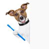 Dog With Toothbrush Clipart Image