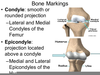 Condyle Bone Marking Image