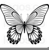 Free Clipart Flowers And Butterflies Image