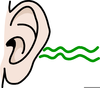 Clipart Of The Ear Image