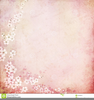 Cherry Blossom Background Clipart Image