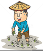 Planting Clipart Image