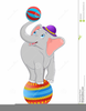 Elephant Playing Ball Image