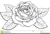 Clipart Of Flowers Black And White Image