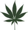 Dark Green Marijuana Leaf, Vector Format Clip Art