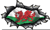 Free Clipart Welsh Dragon Image