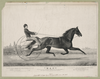  Mac : June 28th 1853 In A Match With  Tacony  Over The Union Course L.i. Mile Heats In Harness, Won The Two First Heats In 2:28-2:29 Image