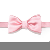 Pink Bow Tie Clipart Image