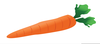 Clip Art Carrots Image